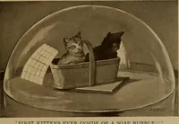 Picture 21 of 125 from New games and amusements for young and old alike (1905), leaf 98