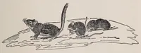 Picture 2 of 13 from New ideas for American boys; the Jack of all trades (1900), leaf 71