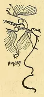 Picture 12 of 13 from New ideas for American boys; the Jack of all trades (1900), leaf 282