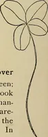 An illustration from New ideas for work and play; what a girl can make and do (1902)