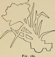 An illustration from New ideas for work and play; what a girl can make and do (1902)