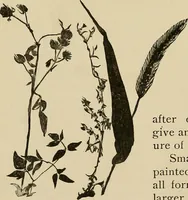 An illustration from New ideas for work and play; what a girl can make and do (1902)
