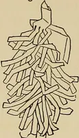 An illustration from New ideas for work and play; what a girl can make and do (1902)