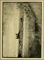 An illustration from New ideas for work and play; what a girl can make and do (1902)