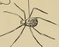 An illustration from New ideas for work and play; what a girl can make and do (1902)