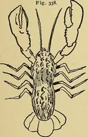 An illustration from New ideas for work and play; what a girl can make and do (1902)