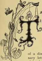 An illustration from New ideas for work and play; what a girl can make and do (1902)