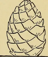 An illustration from New ideas for work and play; what a girl can make and do (1902)
