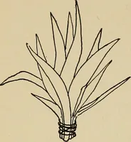 An illustration from New ideas for work and play; what a girl can make and do (1902)