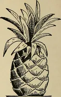 An illustration from New ideas for work and play; what a girl can make and do (1902)