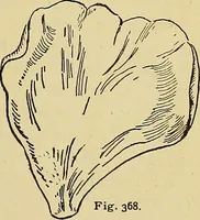 An illustration from New ideas for work and play; what a girl can make and do (1902)