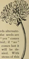 An illustration from New ideas for work and play; what a girl can make and do (1902)