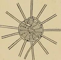 An illustration from New ideas for work and play; what a girl can make and do (1902)