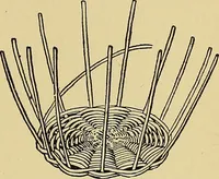 An illustration from New ideas for work and play; what a girl can make and do (1902)