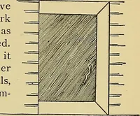 An illustration from New ideas for work and play; what a girl can make and do (1902)