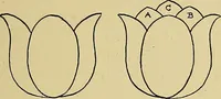 An illustration from New ideas for work and play; what a girl can make and do (1902)