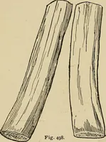 An illustration from New ideas for work and play; what a girl can make and do (1902)