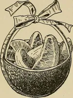 An illustration from New ideas for work and play; what a girl can make and do (1902)