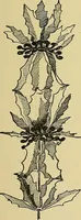 An illustration from New ideas for work and play; what a girl can make and do (1902)