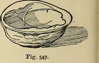 An illustration from New ideas for work and play; what a girl can make and do (1902)