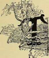 An illustration from New ideas for work and play; what a girl can make and do (1902)