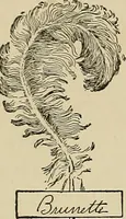 An illustration from New ideas for work and play; what a girl can make and do (1902)