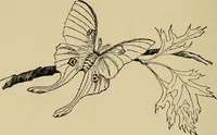 An illustration from New ideas for work and play; what a girl can make and do (1902)