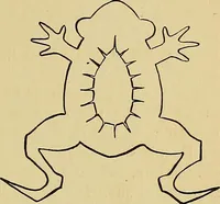 An illustration from New ideas for work and play; what a girl can make and do (1902)