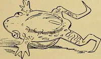 An illustration from New ideas for work and play; what a girl can make and do (1902)