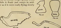 An illustration from New ideas for work and play; what a girl can make and do (1902)