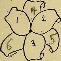 An illustration from New ideas for work and play; what a girl can make and do (1902)