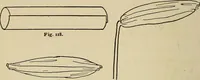 An illustration from New ideas for work and play; what a girl can make and do (1902)