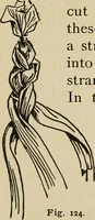 An illustration from New ideas for work and play; what a girl can make and do (1902)