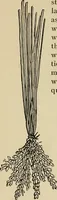 An illustration from New ideas for work and play; what a girl can make and do (1902)