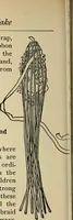 An illustration from New ideas for work and play; what a girl can make and do (1902)