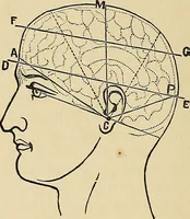 An illustration from A new illustrated hand-book of phrenology, physiology and physiognomy (1878)