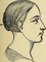 An illustration from A new illustrated hand-book of phrenology, physiology and physiognomy (1878)