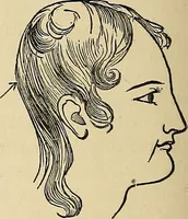 An illustration from A new illustrated hand-book of phrenology, physiology and physiognomy (1878)