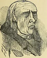An illustration from A new illustrated hand-book of phrenology, physiology and physiognomy (1878)