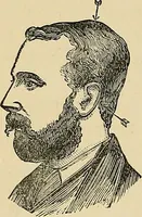 An illustration from A new illustrated hand-book of phrenology, physiology and physiognomy (1878)