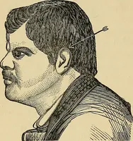 An illustration from A new illustrated hand-book of phrenology, physiology and physiognomy (1878)