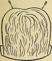 Picture 90 of 157 from A new illustrated hand-book of phrenology, physiology and physiognomy (1878), leaf 212