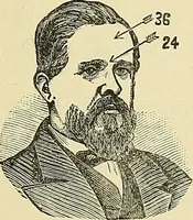 Picture 117 of 157 from A new illustrated hand-book of phrenology, physiology and physiognomy (1878), leaf 250