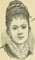 Picture 122 of 157 from A new illustrated hand-book of phrenology, physiology and physiognomy (1878), leaf 260