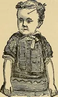 An illustration from A new illustrated hand-book of phrenology, physiology and physiognomy (1878)