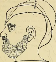 An illustration from A new illustrated hand-book of phrenology, physiology and physiognomy (1878)