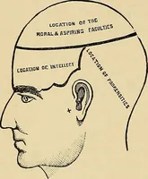 An illustration from A new illustrated hand-book of phrenology, physiology and physiognomy (1878)