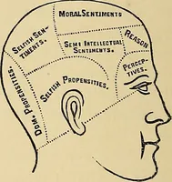 Picture 17 of 157 from A new illustrated hand-book of phrenology, physiology and physiognomy (1878), leaf 51