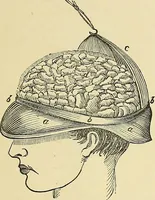 An illustration from A new illustrated hand-book of phrenology, physiology and physiognomy (1878)