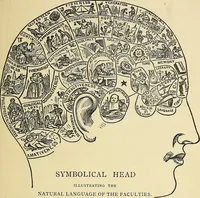 An illustration from A new illustrated hand-book of phrenology, physiology and physiognomy (1878)